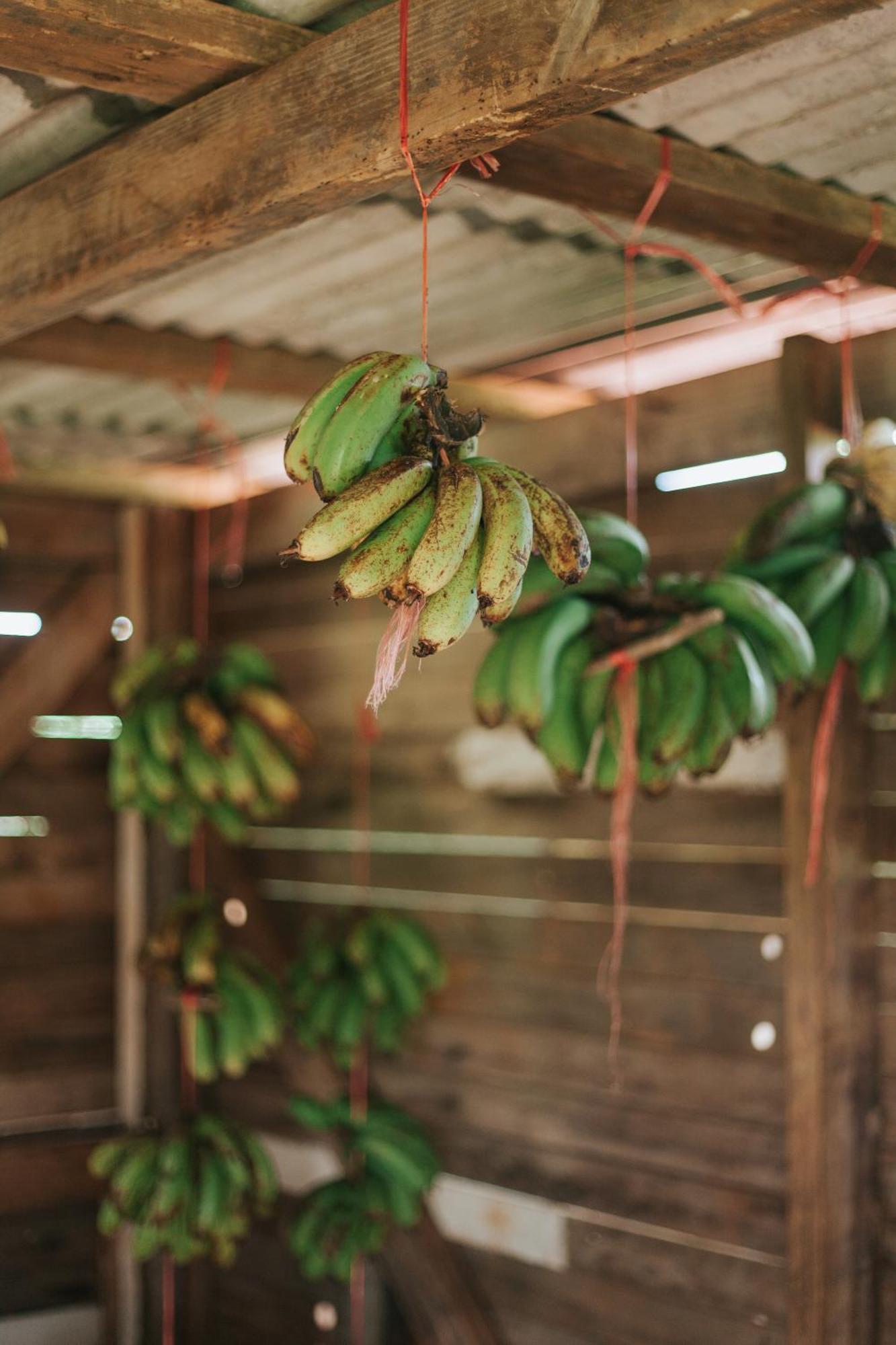 La Vieille Cheminee, Tropical Farm & Eco-Lodges Chamarel Dış mekan fotoğraf