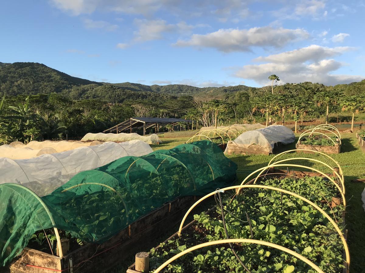 La Vieille Cheminee, Tropical Farm & Eco-Lodges Chamarel Dış mekan fotoğraf